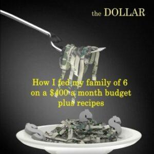 Stretching the Dollar: How I fed my family on $400 a month plus recipes